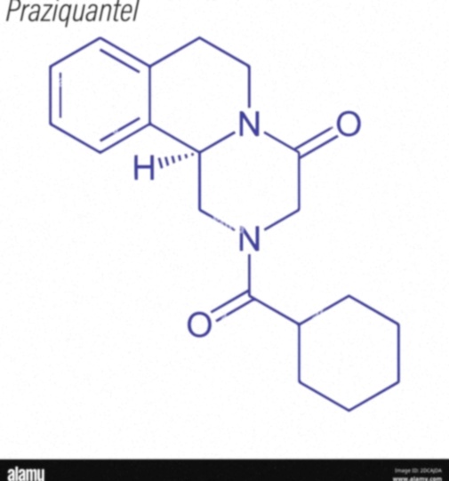biltricide