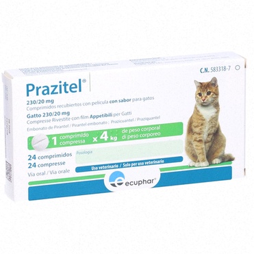 praziquantel